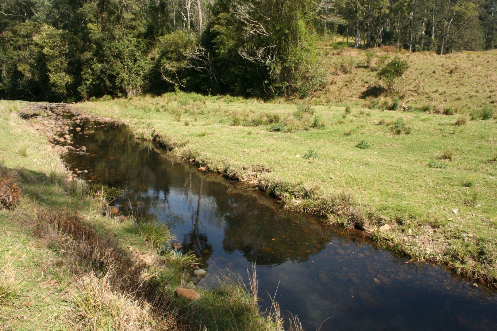 Lot 241 Galbraiths Road, Bellangry NSW 2446, Image 2