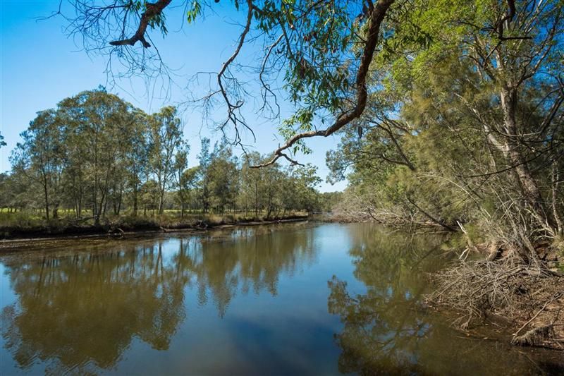 Lot 24 Jeremadra Grove, JEREMADRA NSW 2536, Image 1