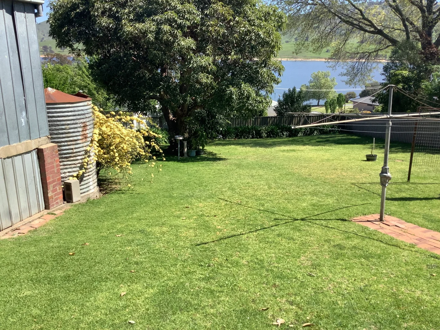 Image 11