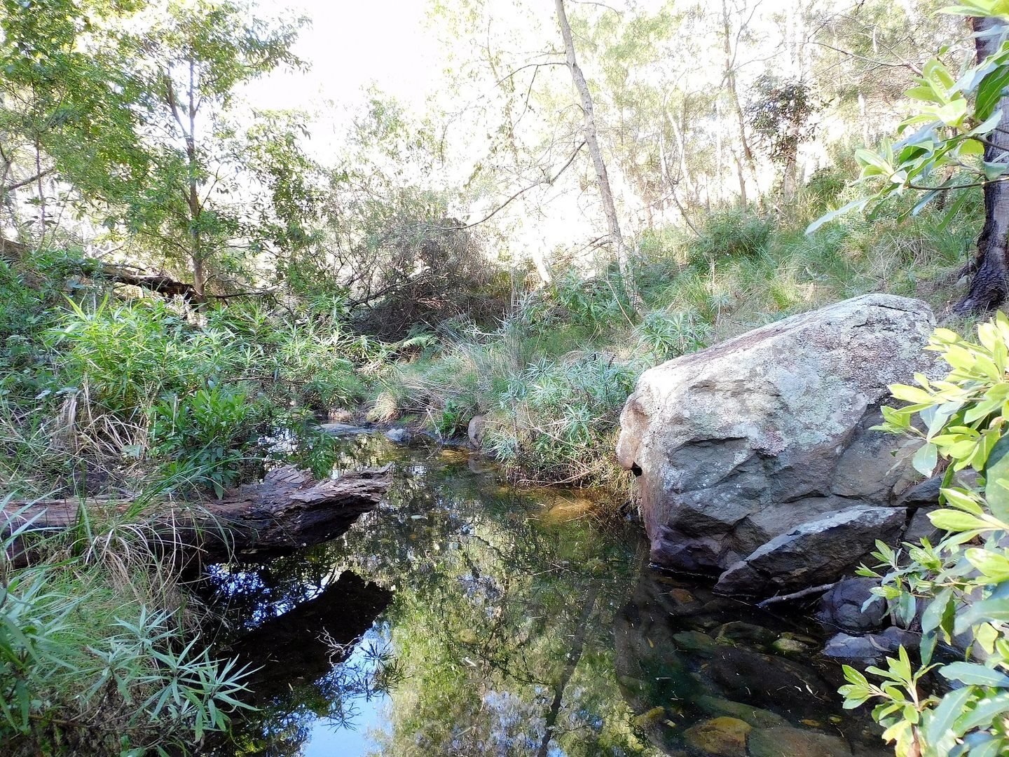 Lot 1 Mine Road, Lochiel NSW 2549, Image 1