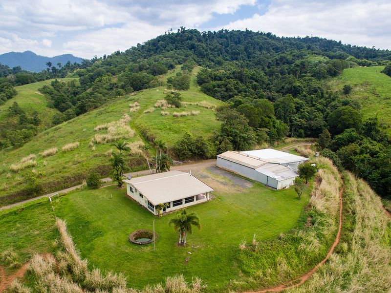 420 Camp Creek Road, Camp Creek QLD 4871, Image 2