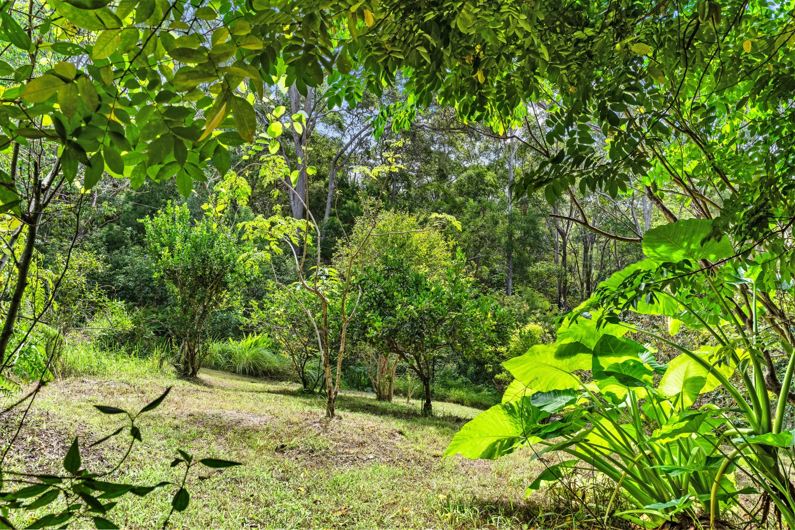 Additional image 25 of 300 Sunrise Road, Doonan QLD 4562