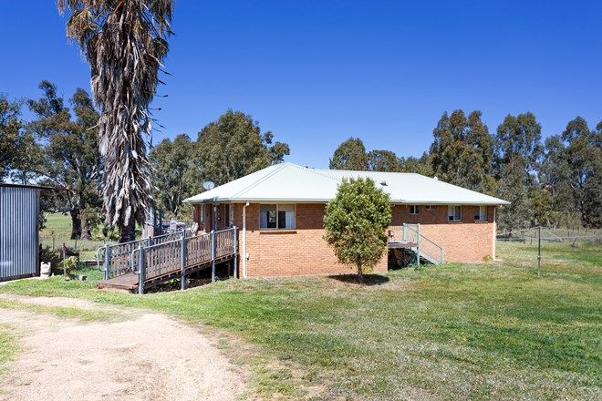 Picture of 7 Wagga Wagga Street, OURA NSW 2650