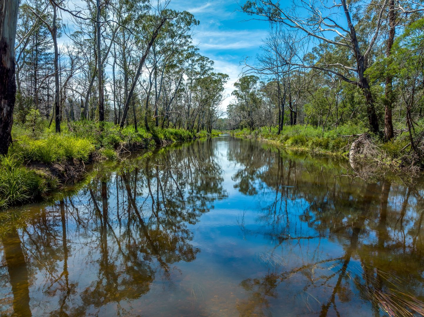 519 Corang Post Office Road, Oallen NSW 2580, Image 1