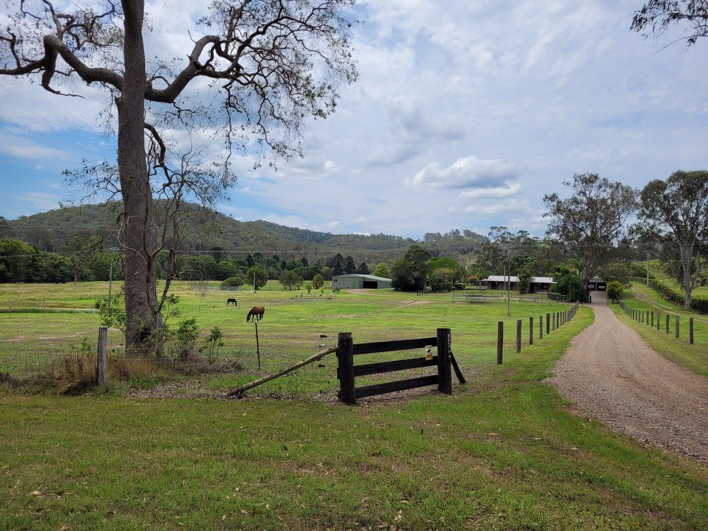 1280 EUMUNDI KENILWORTH ROAD, Belli Park QLD 4562 Livestock Property