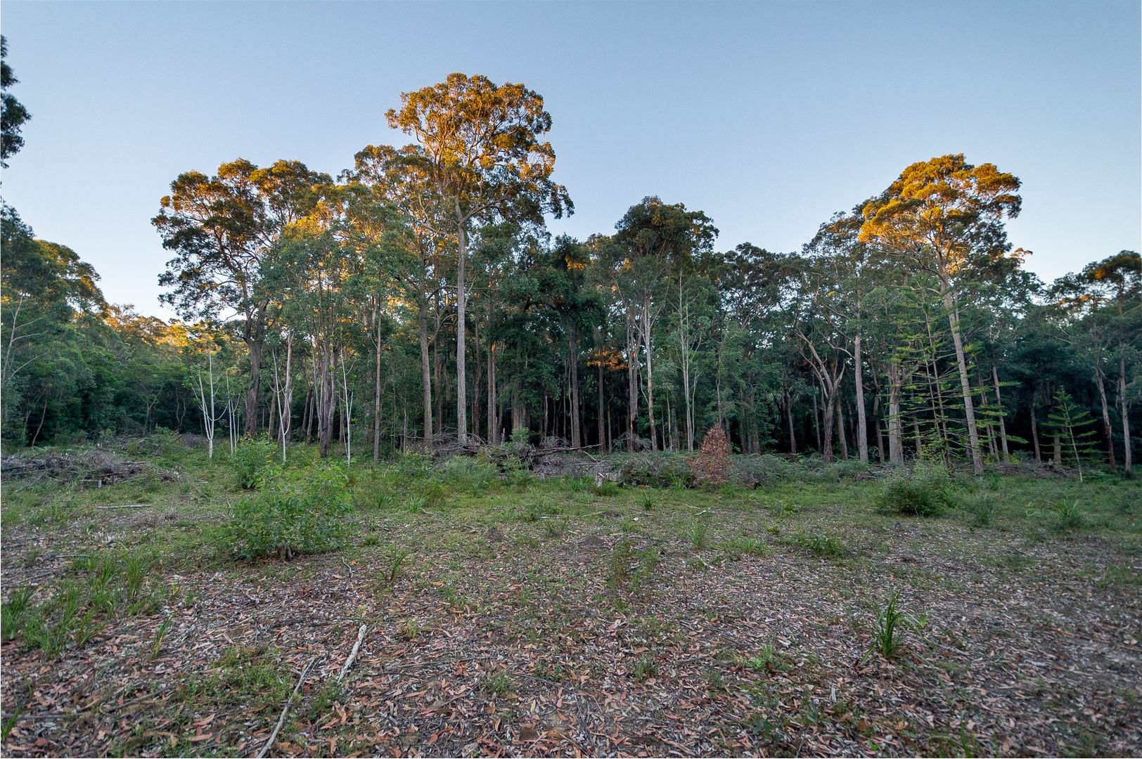 270D Bugong Road, Budgong NSW 2577, Image 2