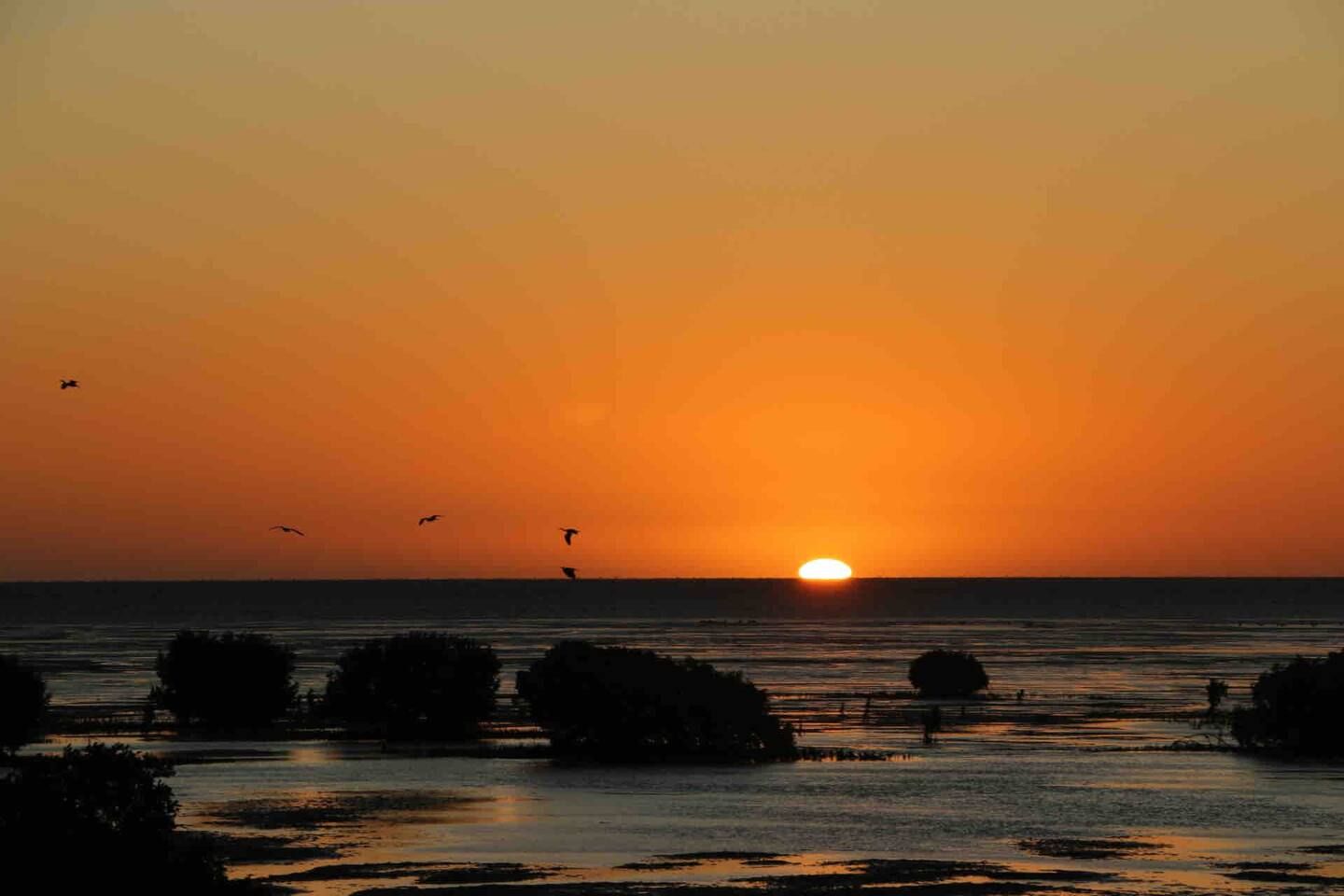 4 bedrooms House in 3 Petrel Crescent THOMPSON BEACH SA, 5501