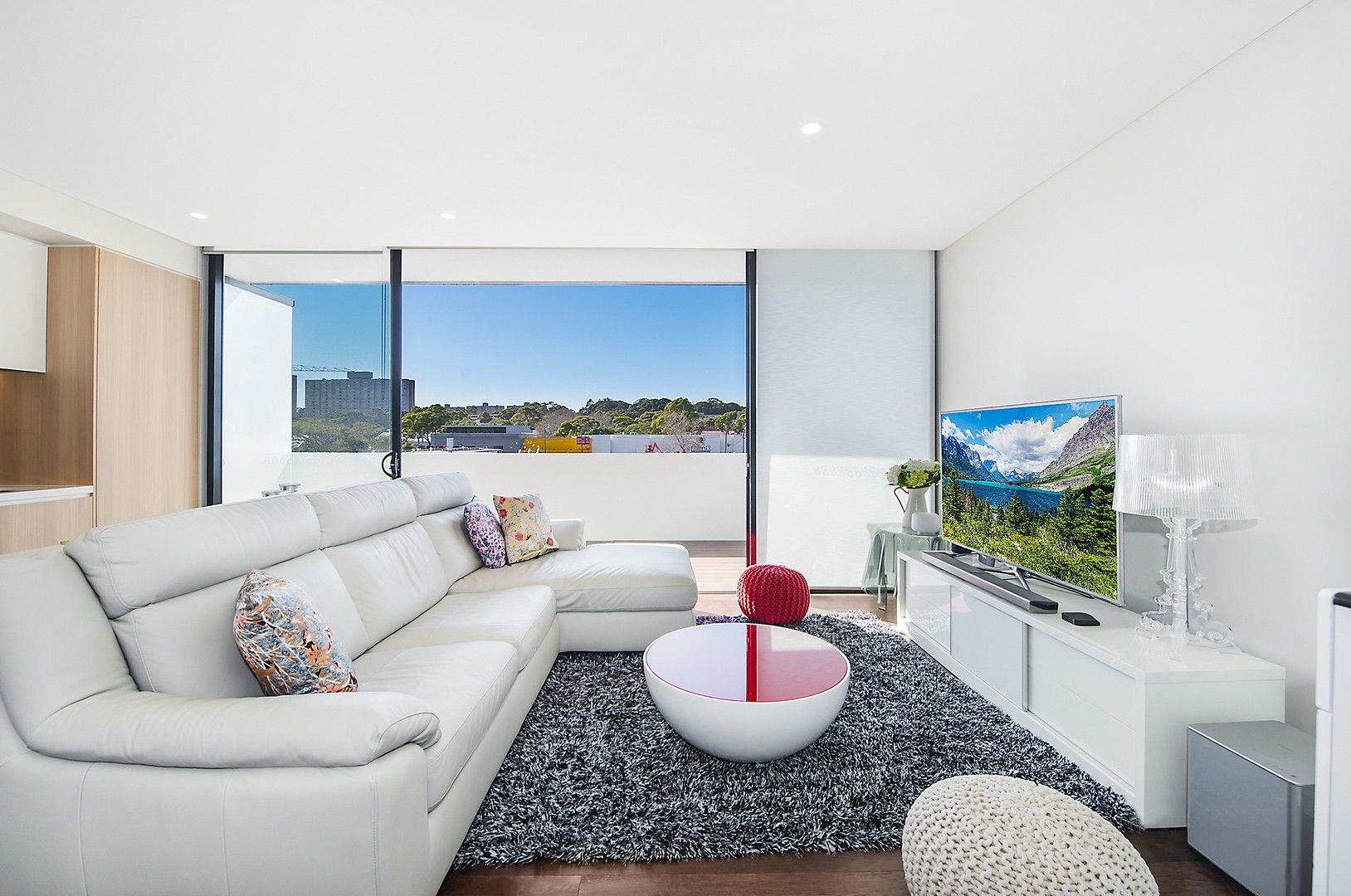 1 bedrooms Apartment / Unit / Flat in 304/123 Wyndham Street ALEXANDRIA NSW, 2015