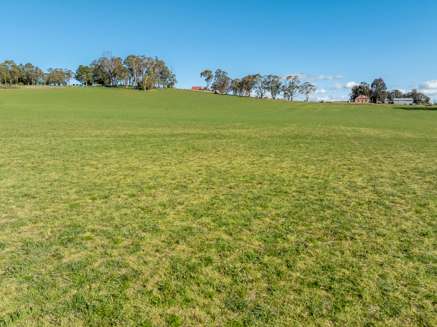 Image 13