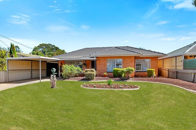 Picture of 19 Jocelyn Terrace, PARAFIELD GARDENS SA 5107