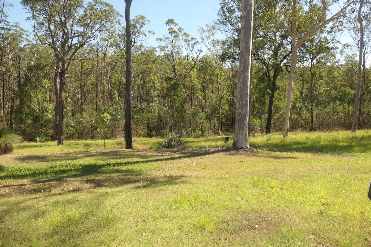 Image 16