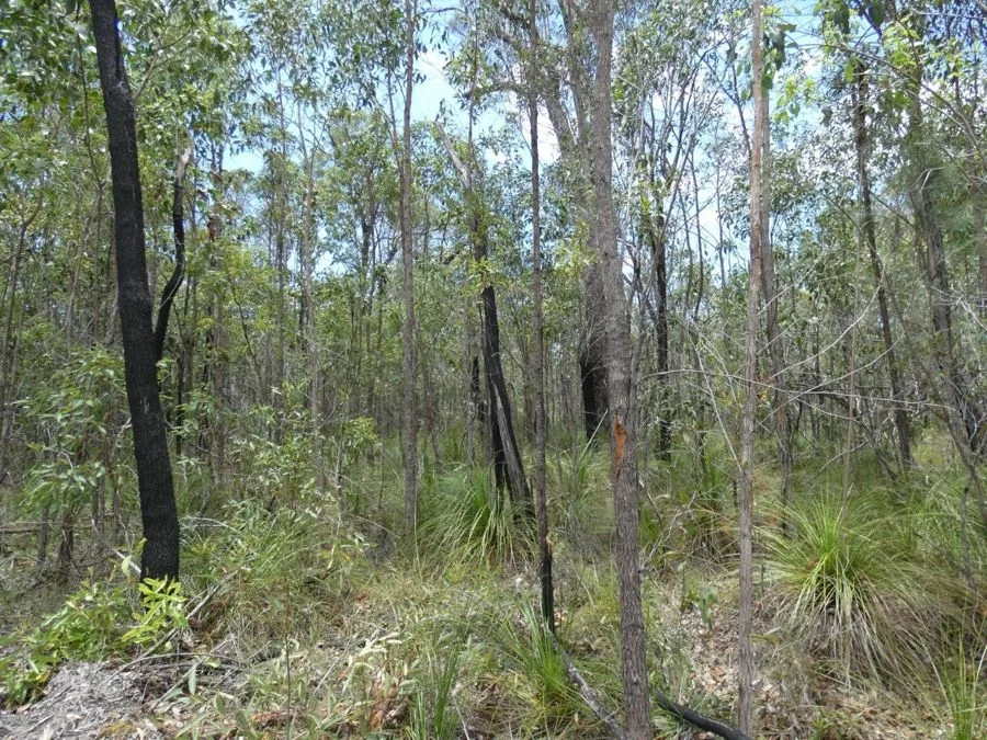 Image 14