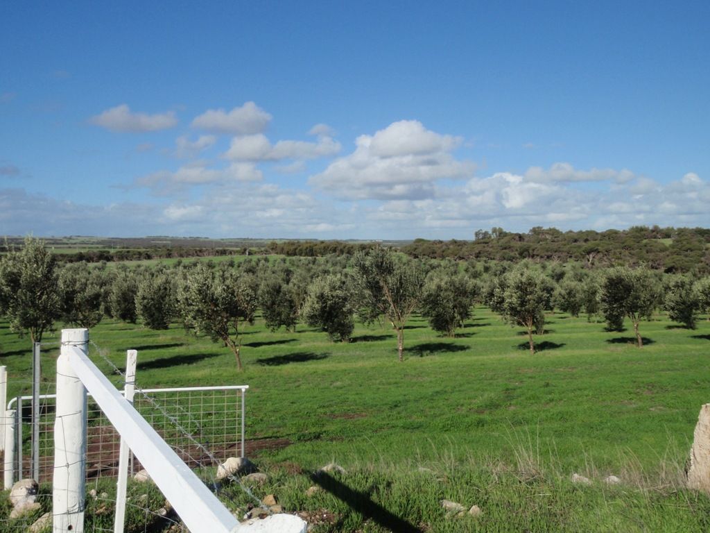 Lot 28 Brand Highway, Bookara WA 6525, Image 0