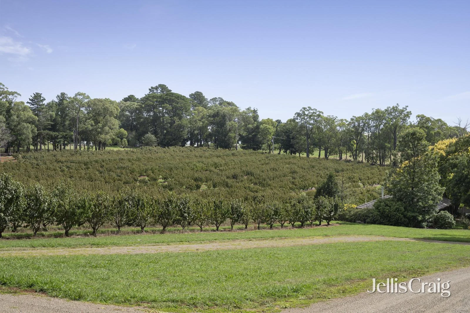 Additional image 22 of 56 Monbulk-Seville Road, Seville VIC 3139