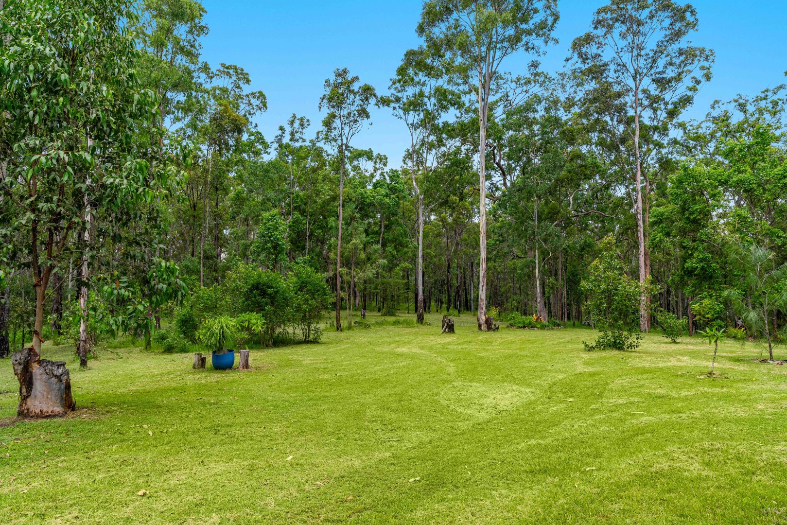 1409 Plains Station Road, Tabulam NSW 2469, Image 2