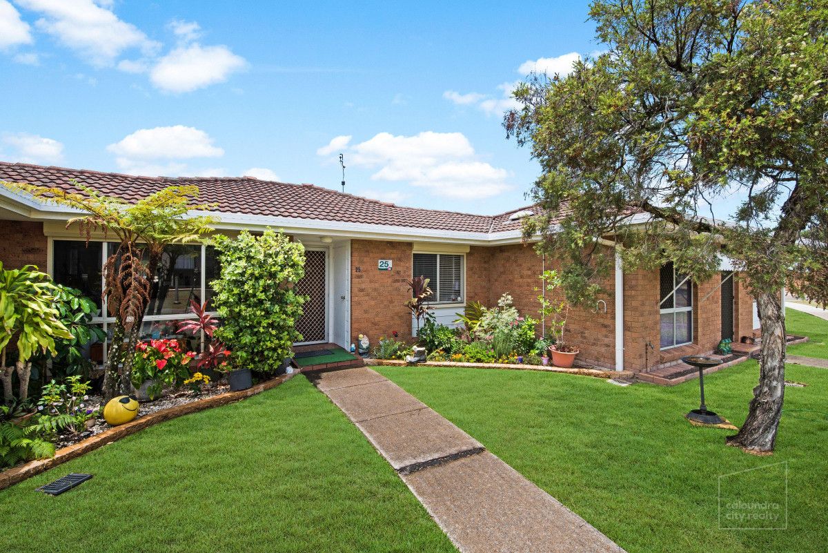 25/96 Beerburrum Street, Battery Hill QLD 4551 Domain