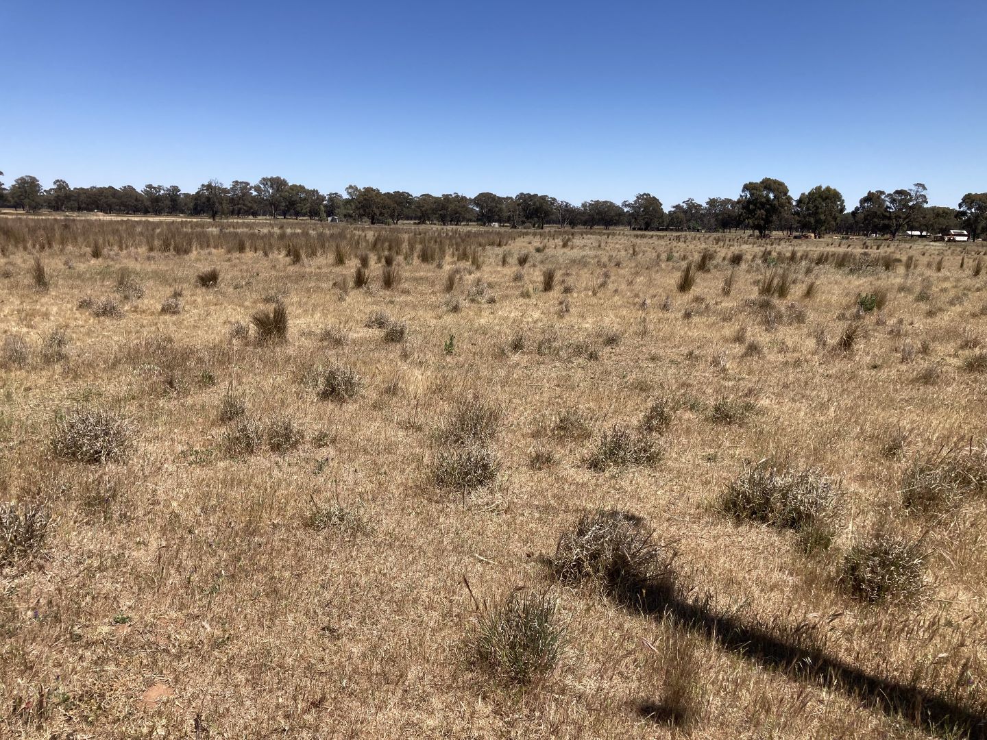 Lot 1137 Mansfield Road, Temora NSW 2666, Image 1