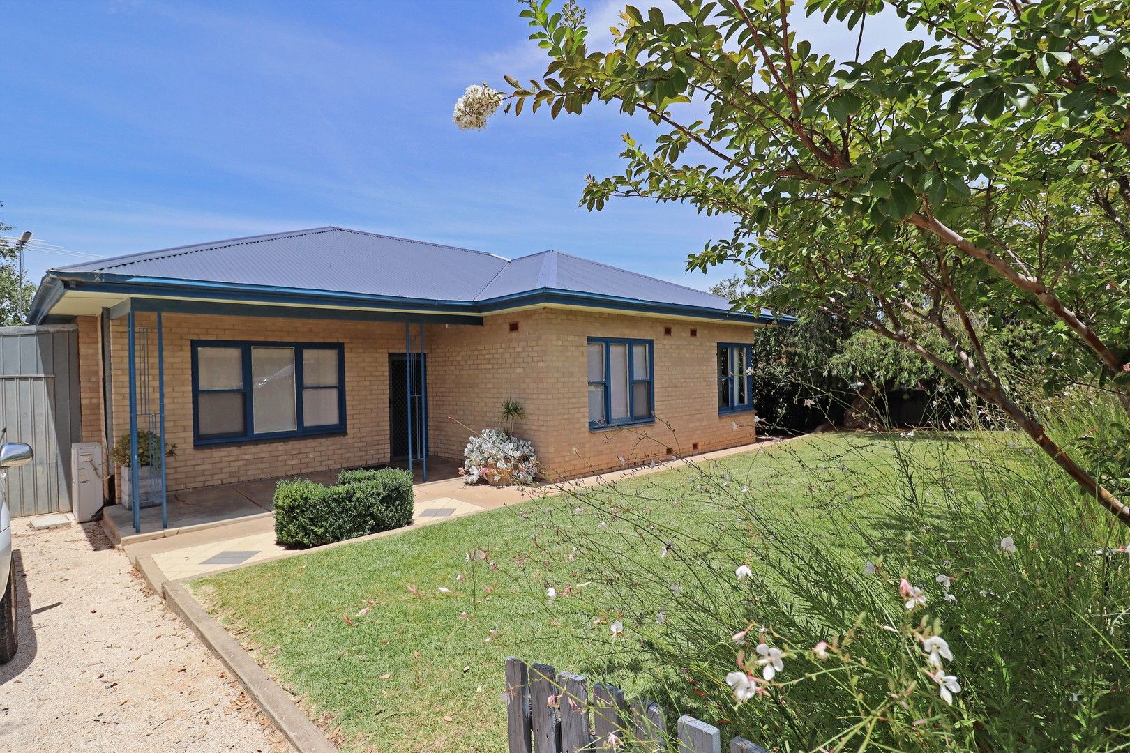 54 Hensley Street, Pinnaroo SA 5304, Image 0