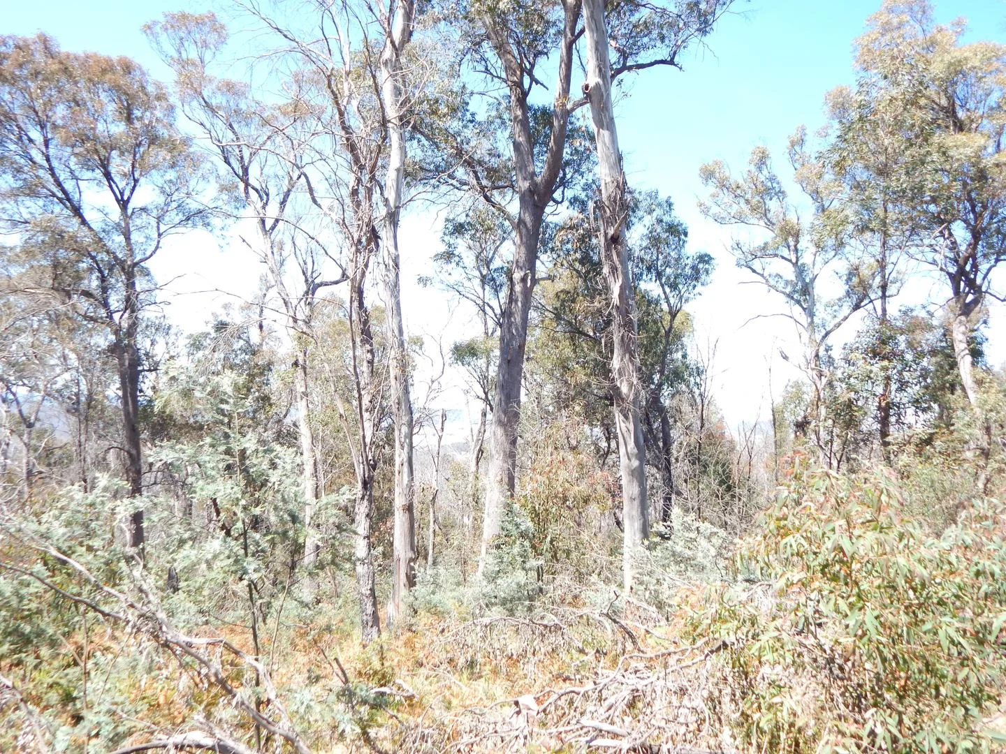 Image 6