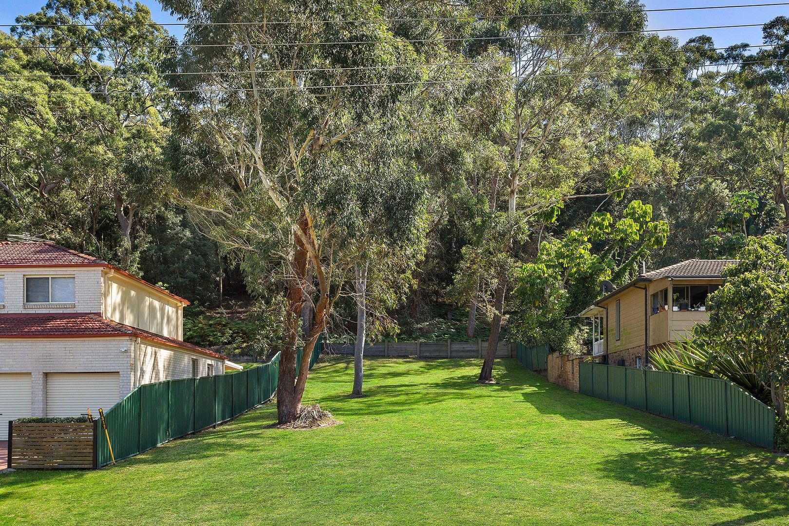 1317 Lemon Tree Passage Road, Lemon Tree Passage NSW 2319 Domain