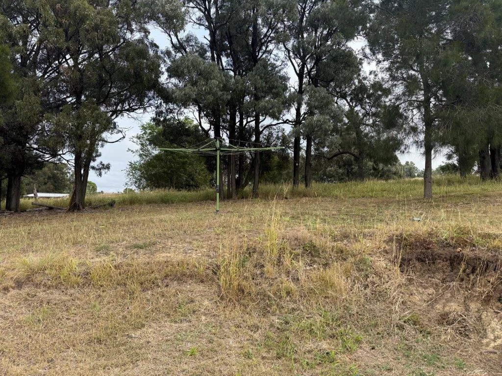 Image 14