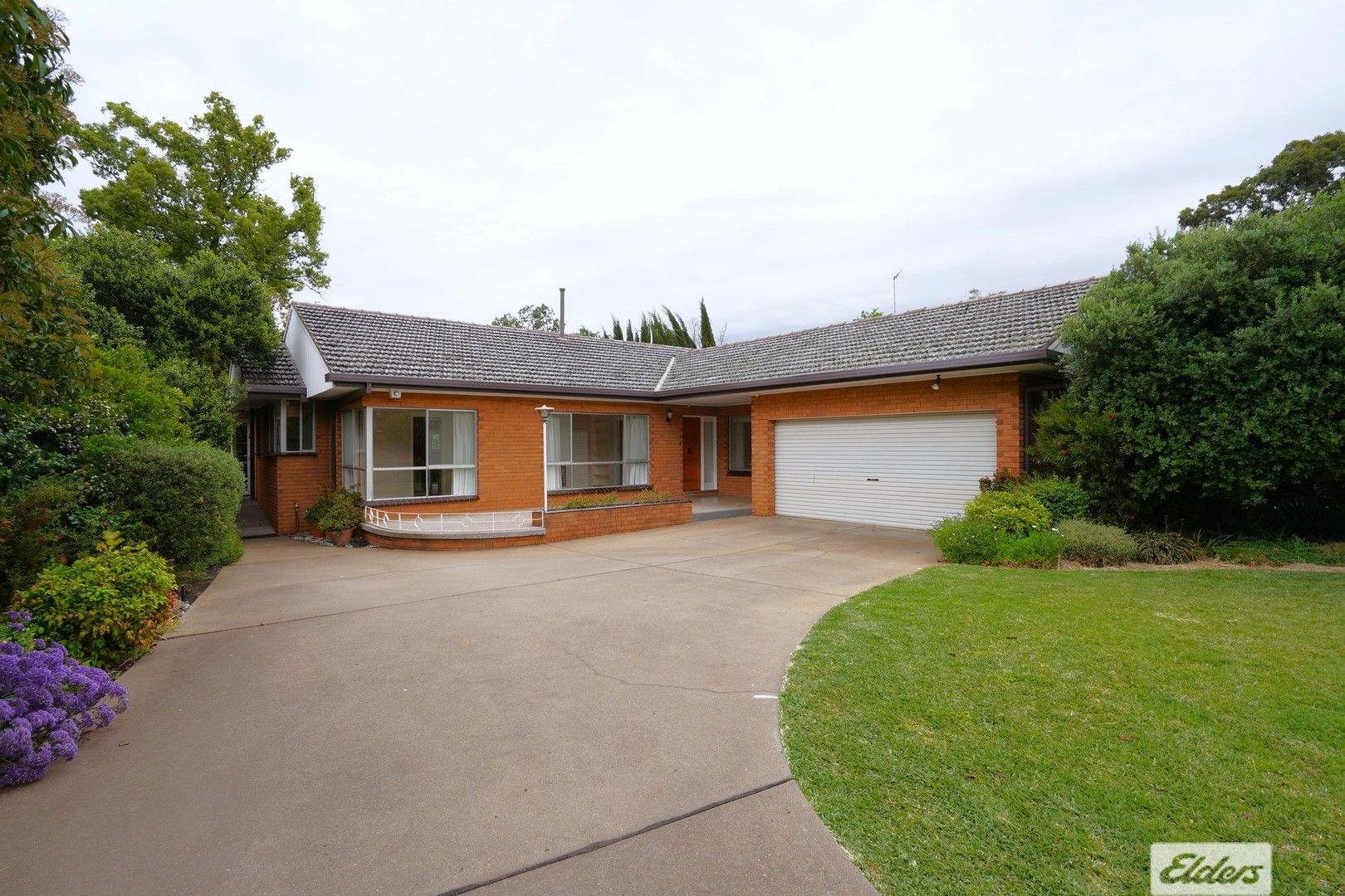 4 bedrooms House in 43 Langley Crescent GRIFFITH NSW, 2680