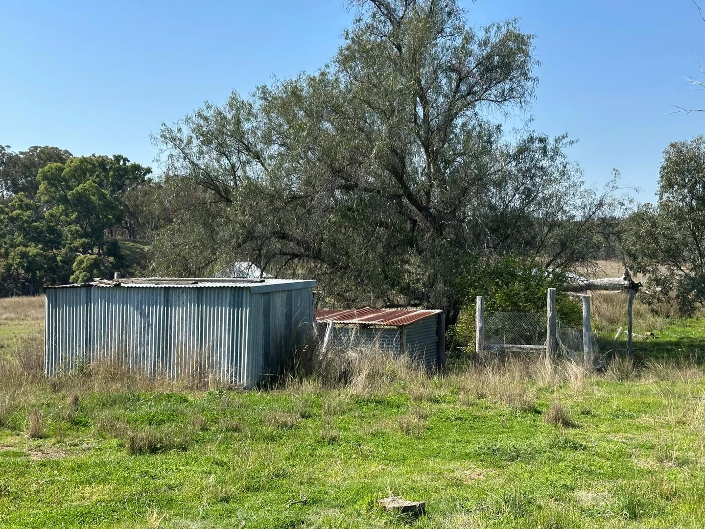 Image 18