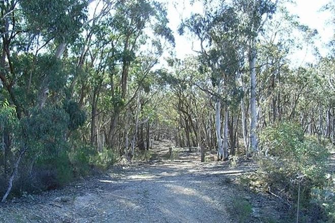 Picture of "Wilsons Reef", TRUNKEY CREEK NSW 2795