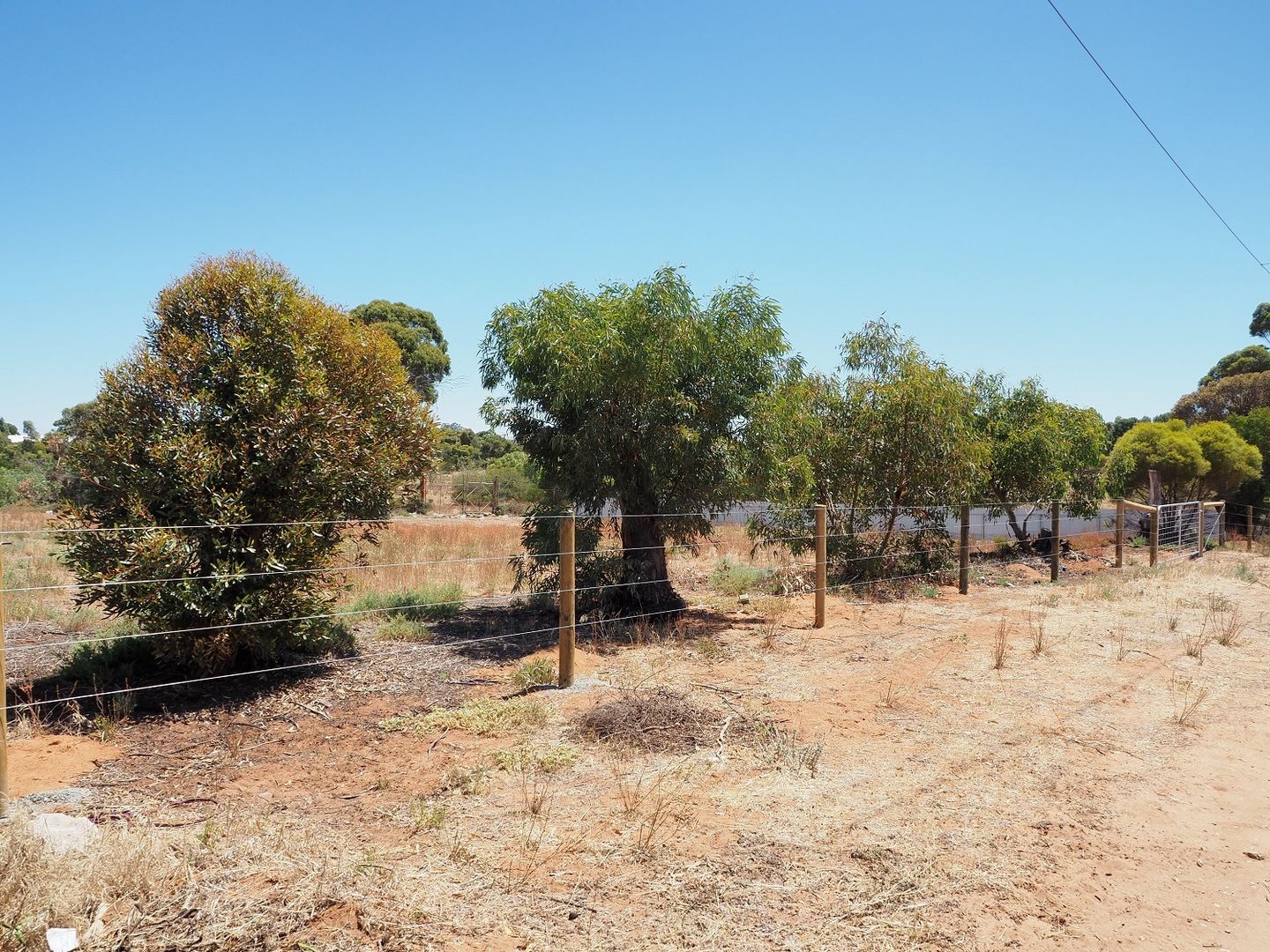 Lot 1 Karoonda Road, Murray Bridge East SA 5253, Image 1