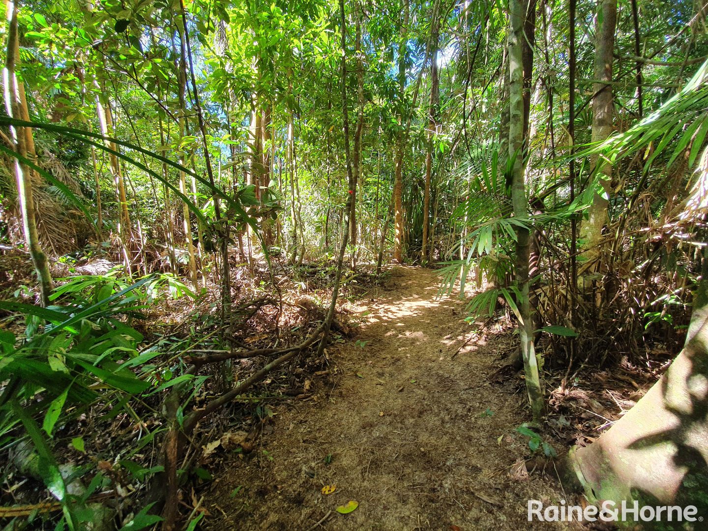 332 Cape Tribulation Road, Cow Bay, Daintree QLD 4873, Image 2