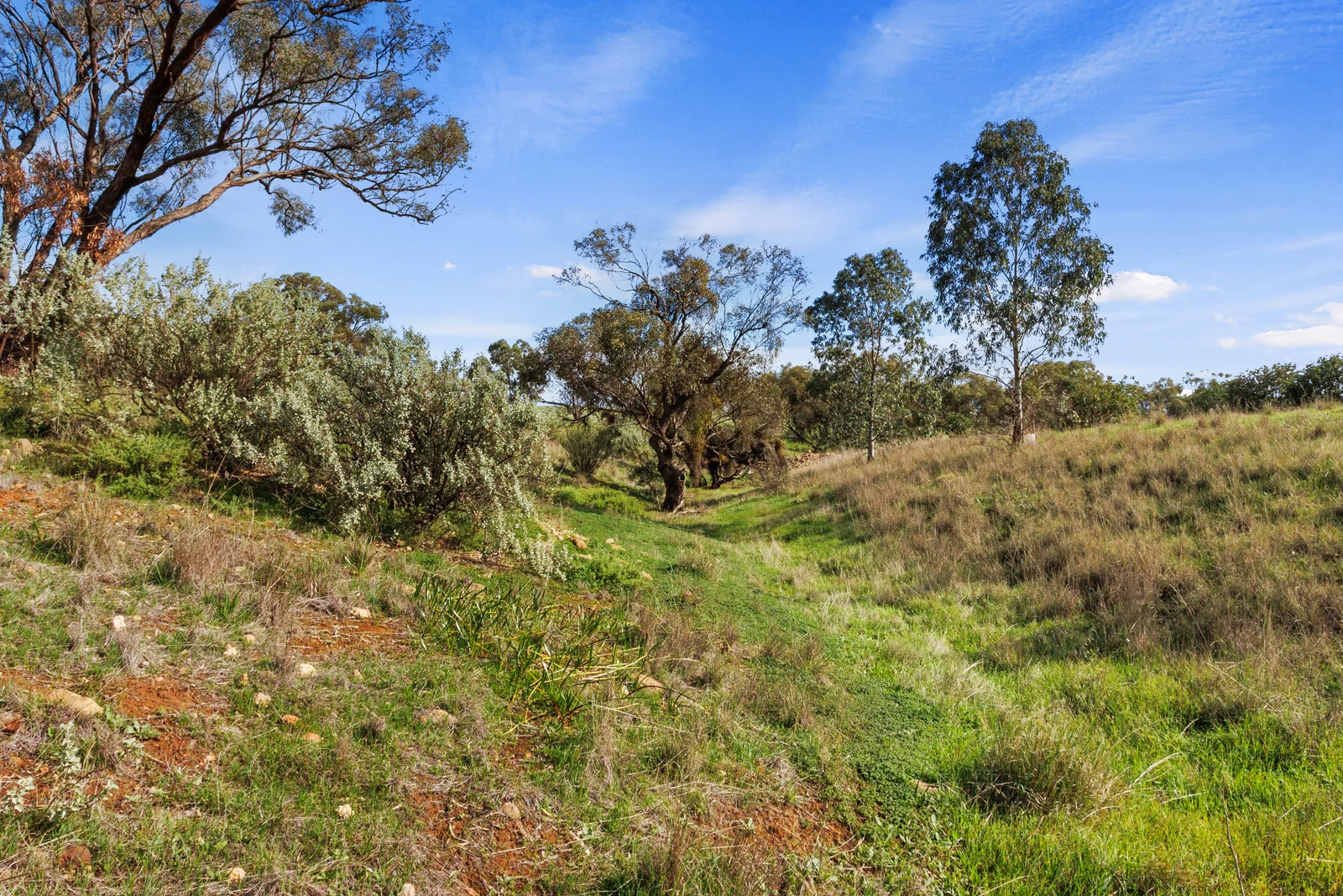 Image 25