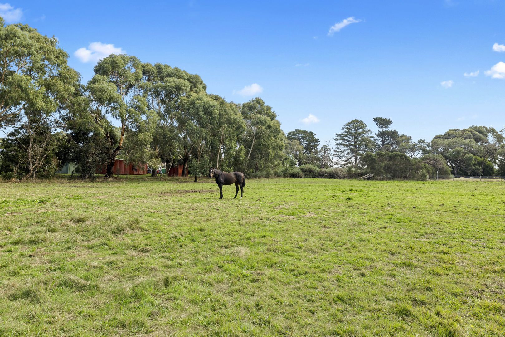 2595 FrankstonFlinders Road, Bittern VIC 3918 Domain