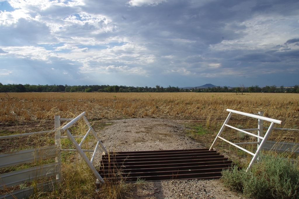 . Melburra Road, Edgeroi NSW 2390, Image 2