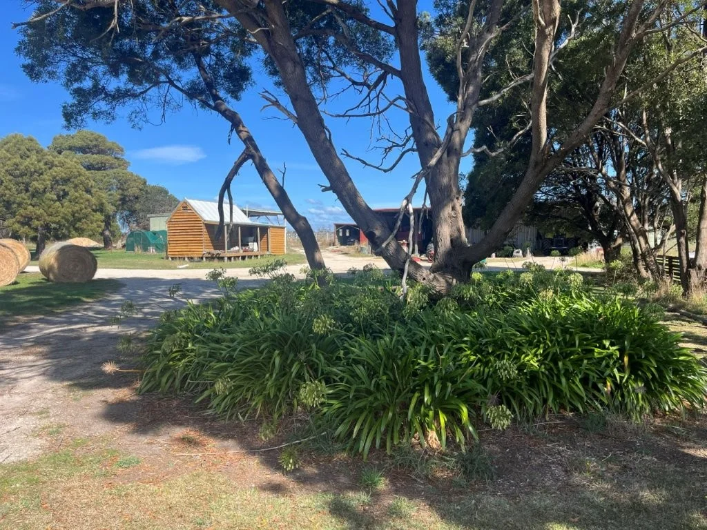 Additional image 6 of 559 North Ansons Road, Gladstone TAS 7264