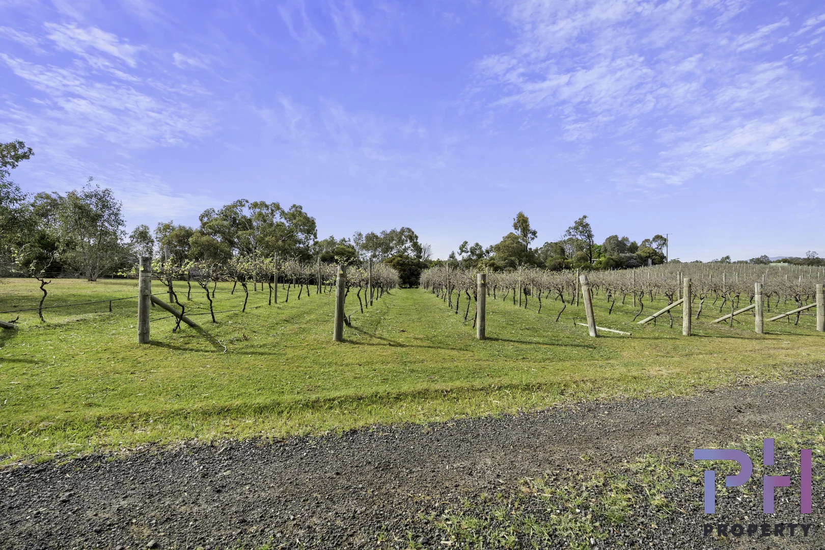 Additional image 6 of 384A Sinclairs Road, Strathfieldsaye VIC 3551