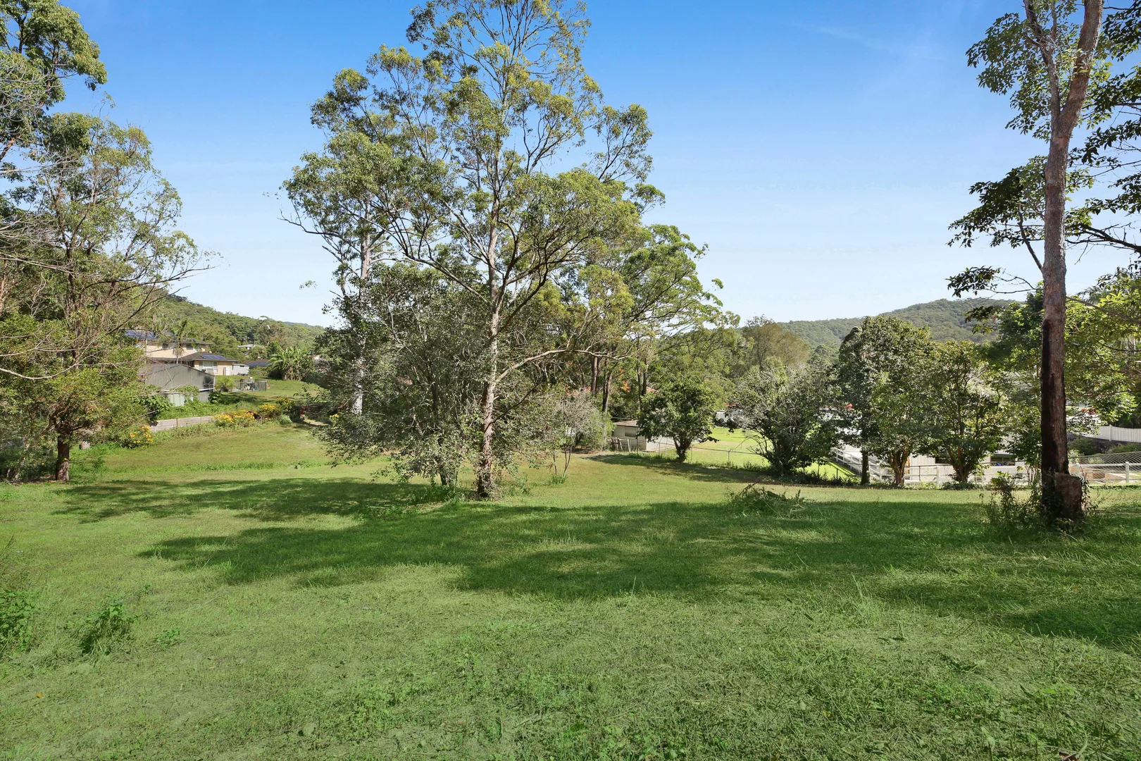 Image 15