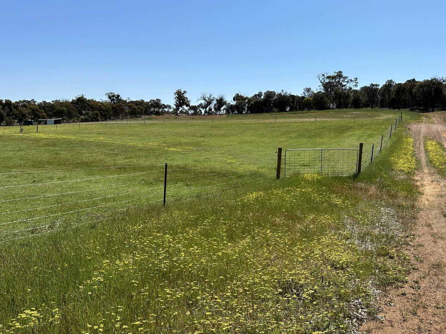 137 McDonald Road, Woodanilling WA 6316, Image 2