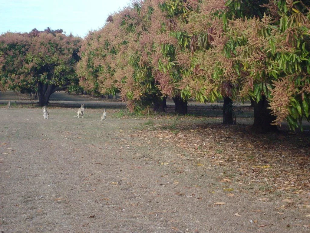 Additional image 20 of Bowen QLD 4805