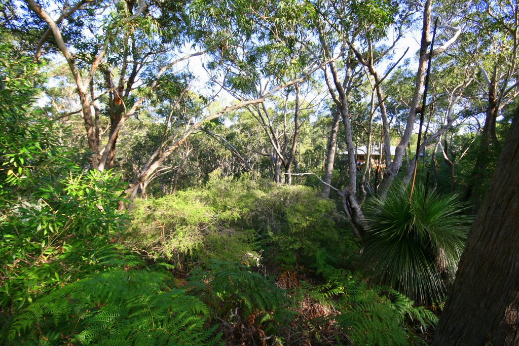 11 Birramal Drive, Dunbogan NSW 2443, Image 1