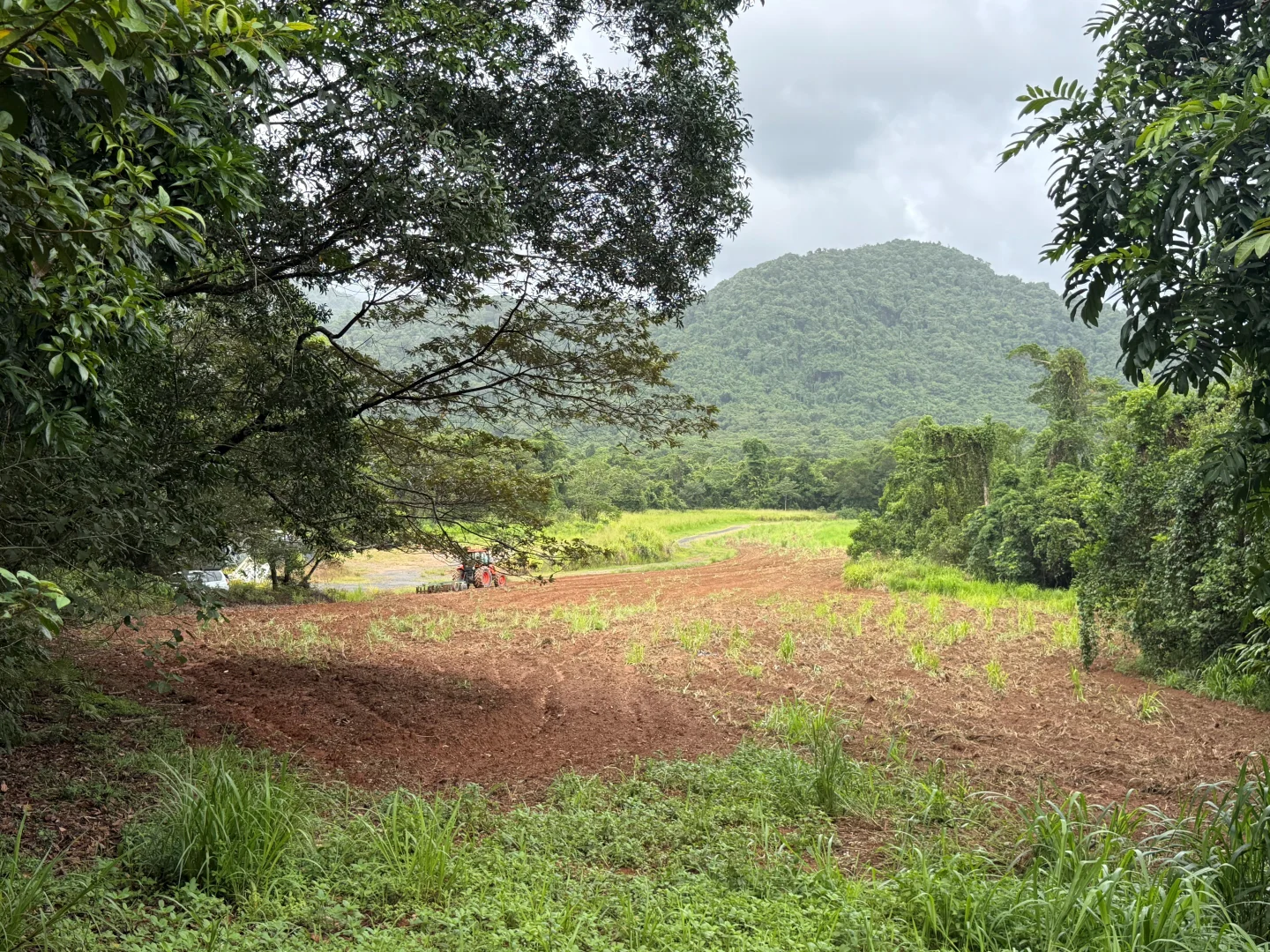 Image 9