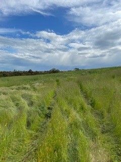 Lot 2 Taylors Road, Auburn SA 5451, Image 2