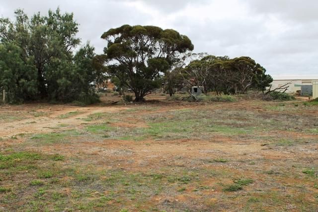 Picture of Lot 116 Lincoln Hwy, COWELL SA 5602