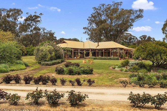 Picture of 242 Nankervis Road, MANDURANG VIC 3551