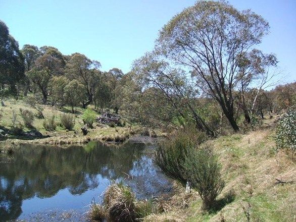 Lot 1 Nimmo Bridge, Eucumbene NSW 2628, Image 1