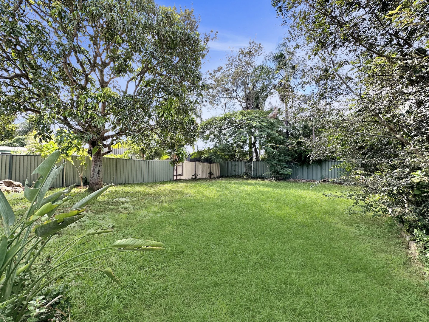 Image 10