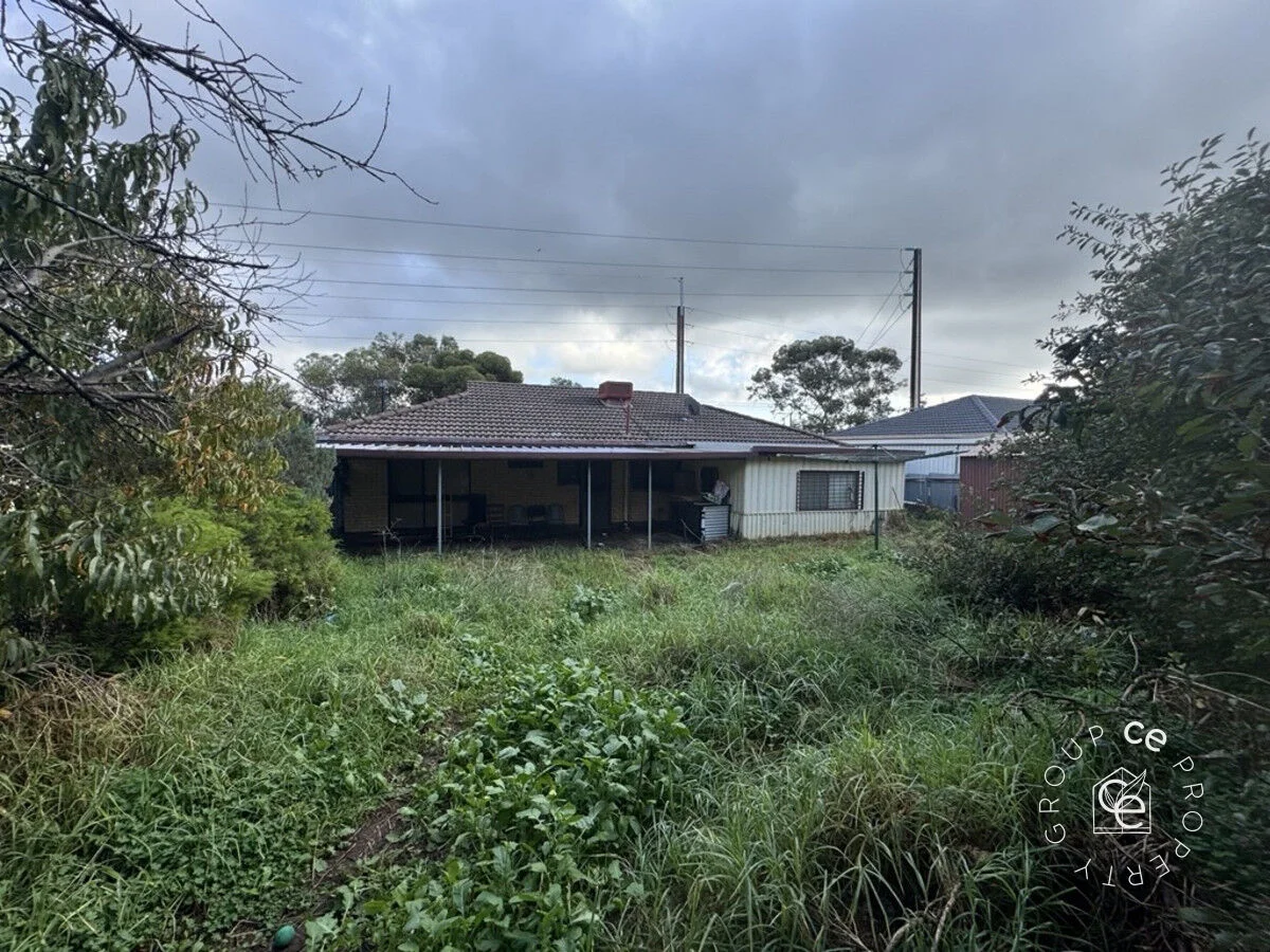 Image 14