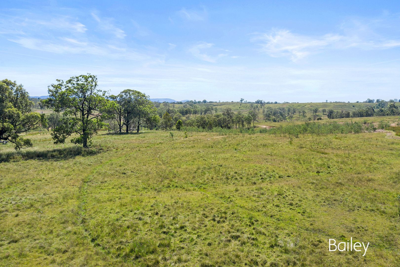 387 Bridgman Road, Singleton NSW 2330 House for Sale Domain