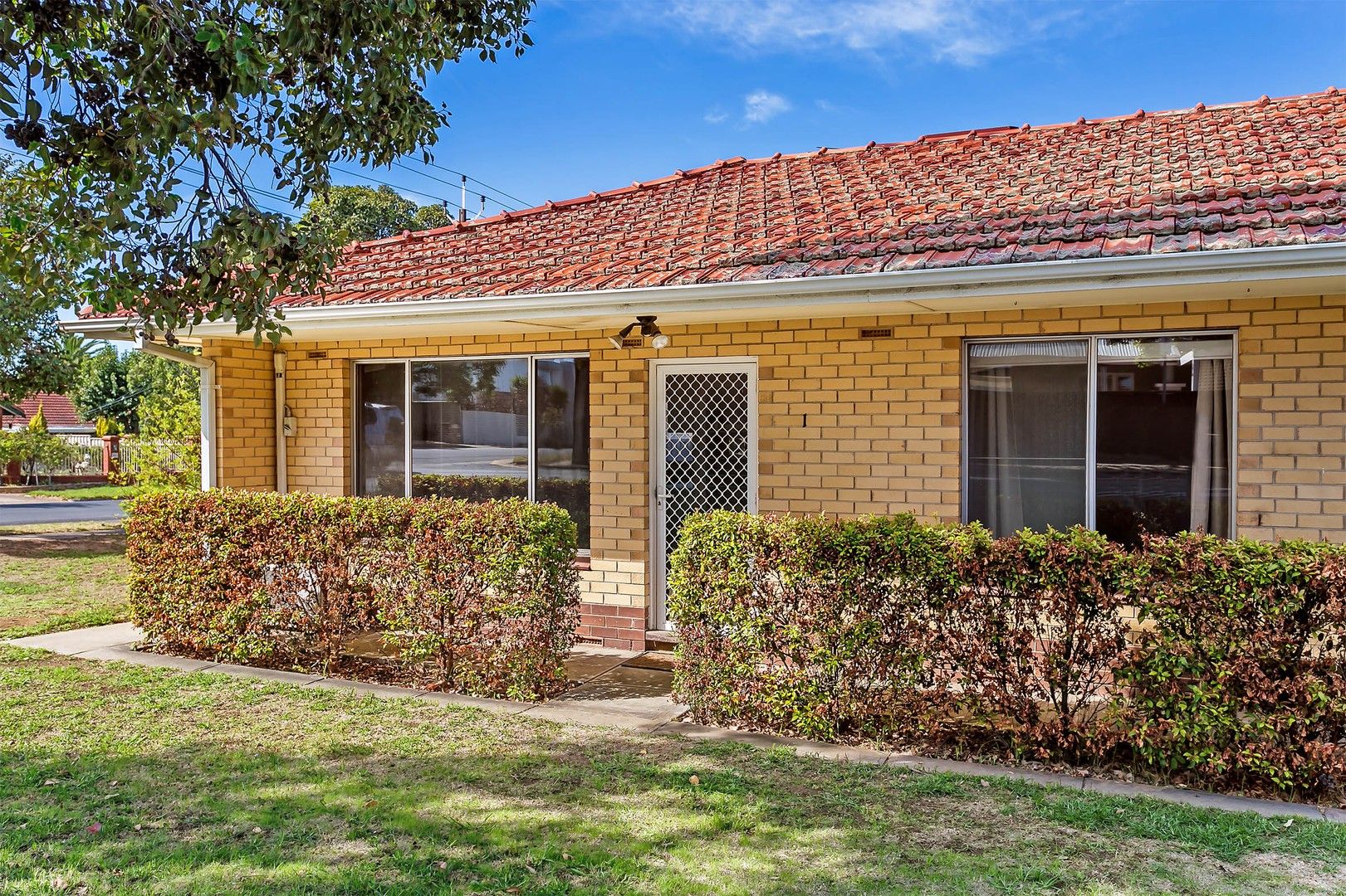 1/49 Main Street, Lockleys SA 5032, Image 2