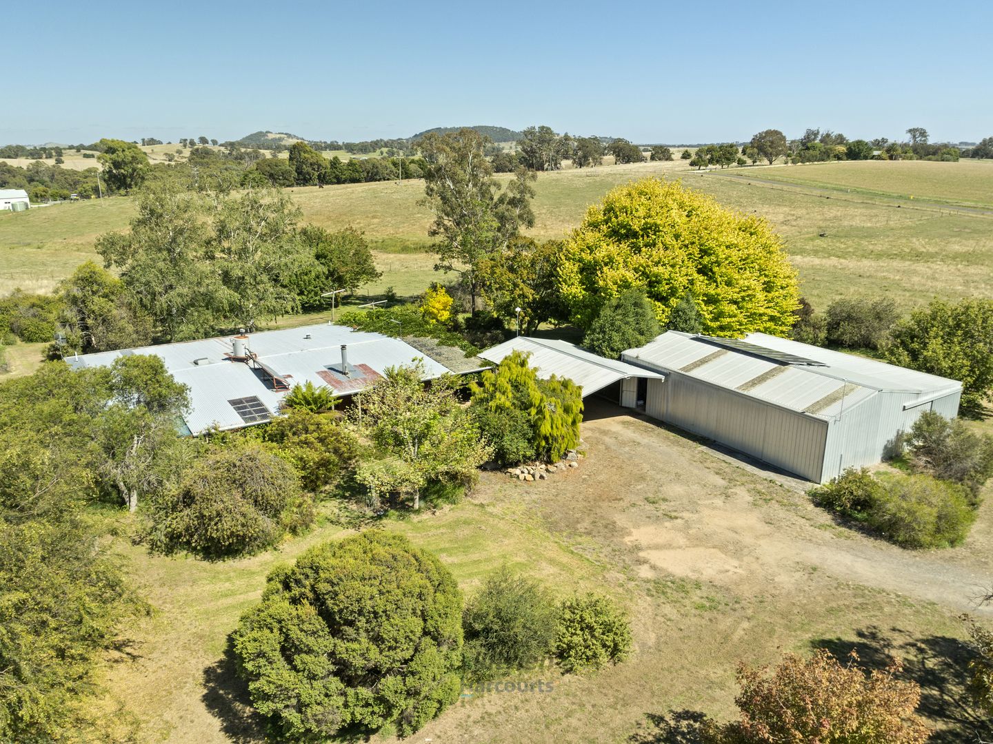 169 Moores Road, Terip Terip VIC 3719, Image 1