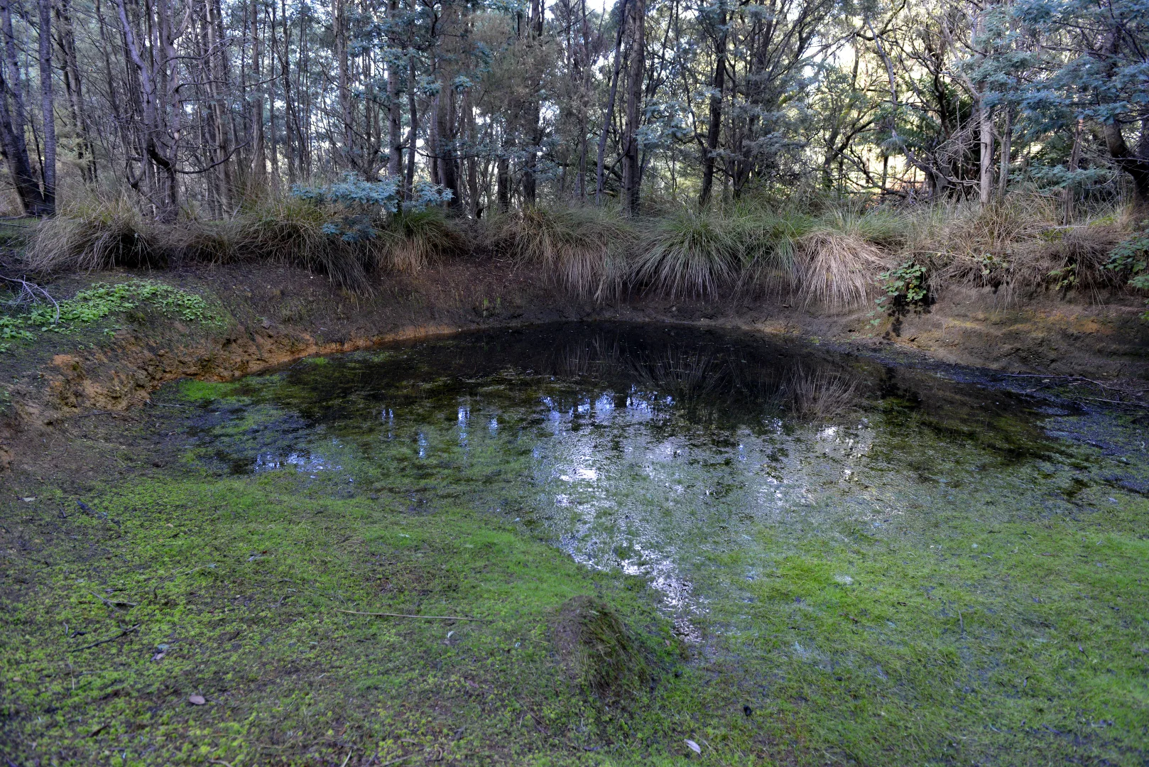 Additional image 10 of 166 Kerrisons Road, Holwell TAS 7275